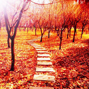 老公弄我一边干一边说粗话电影
